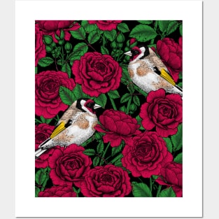 Red Rose flowers and goldfinch birds Posters and Art